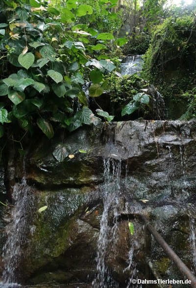Wasserfall