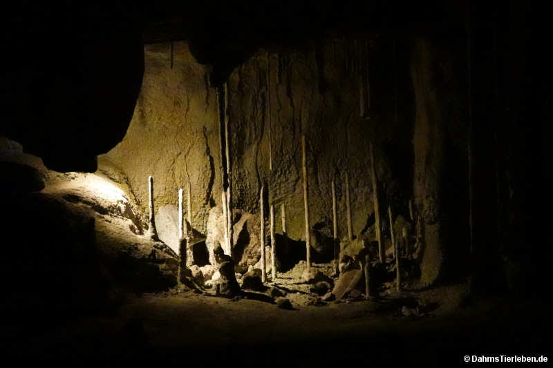 Tropfsteinhöhle