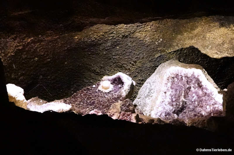 tunnel-1