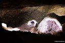 Amethyst in Burgers' Zoo
