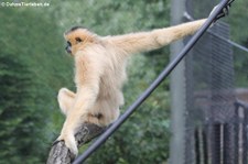 Burgers Zoo, Arnheim