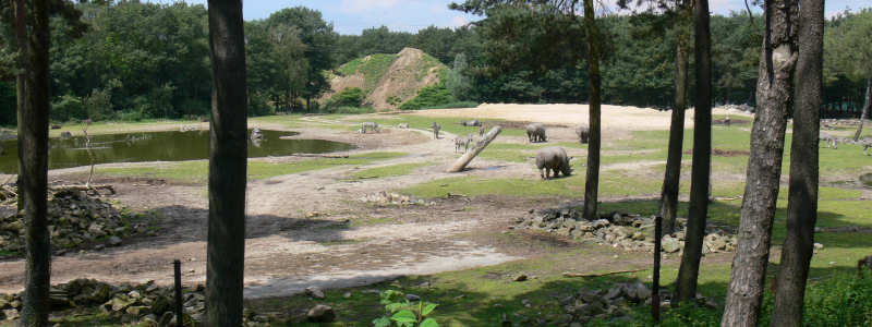 Blick auf Burgers' Safari