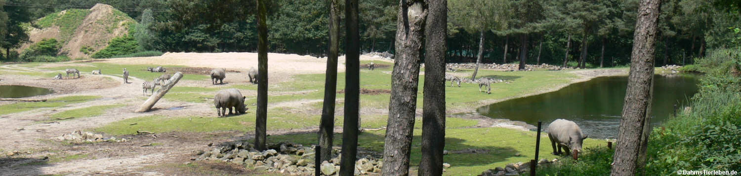 Blick auf Burgers' Safari
