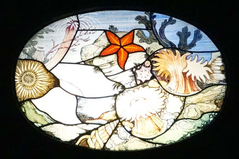 Glasmalerei Aquarium Berlin