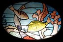 Glasmalerei Aquarium Berlin