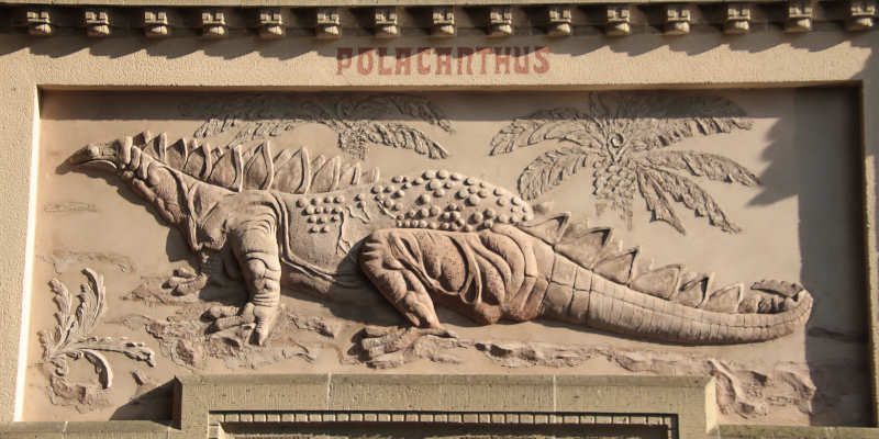 Polacanthus