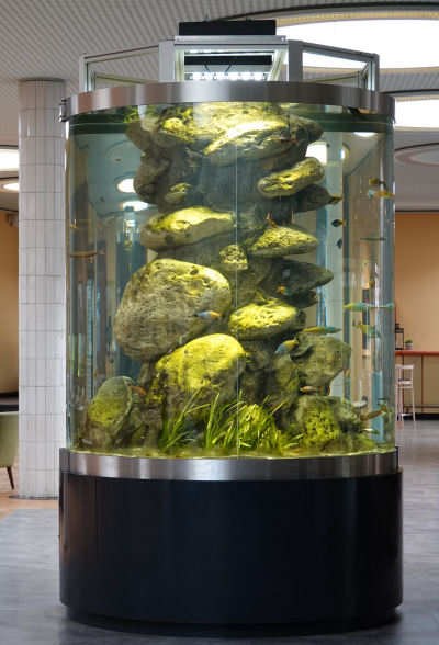Aquarienzylinder