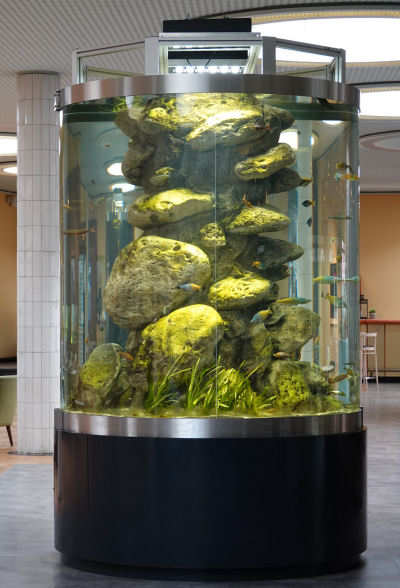 Aquarienzylinder