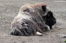 Tierpark Berlin