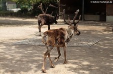 Tierpark Berlin