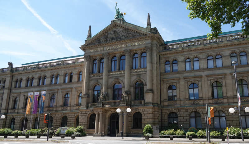 Museum Koenig