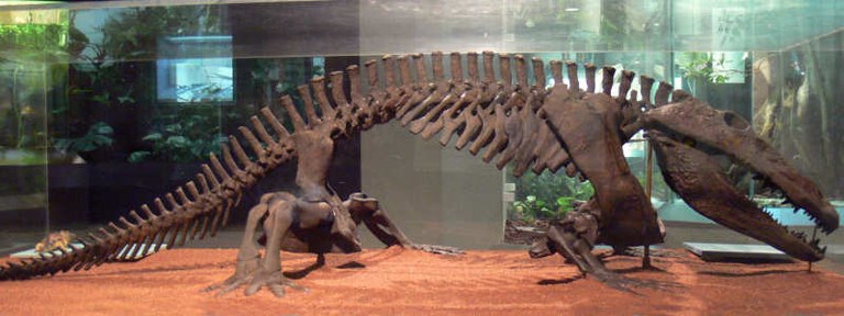 Eryops megacephalus