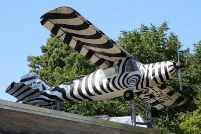 Das fliegende Zebra (Dornier Do 27 Q)