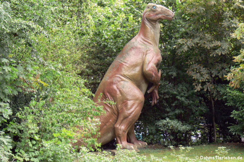 Iguanodon