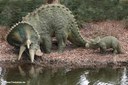 Triceratops