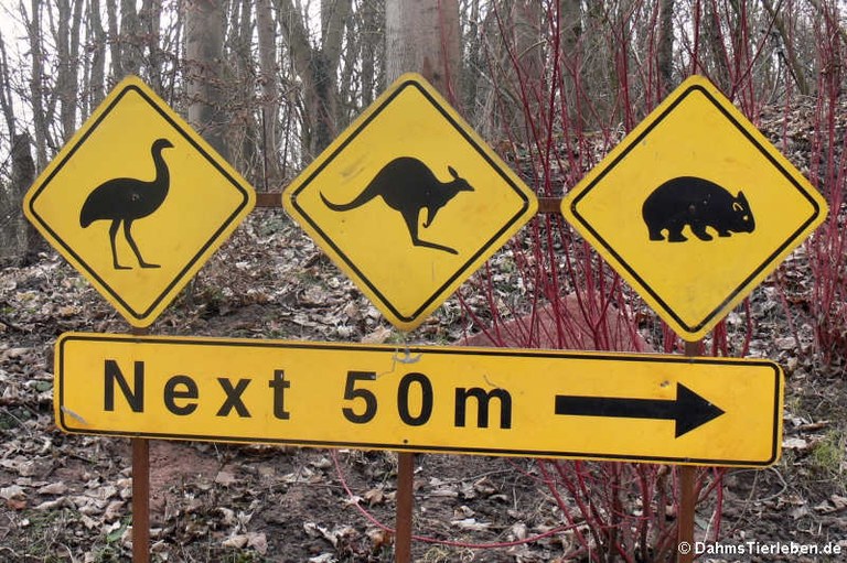 Verkehrzeichen im Outback