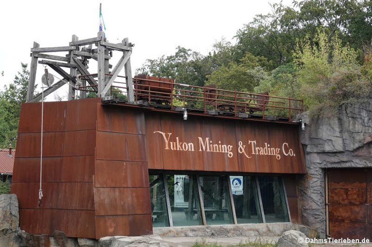 Yukon Mining