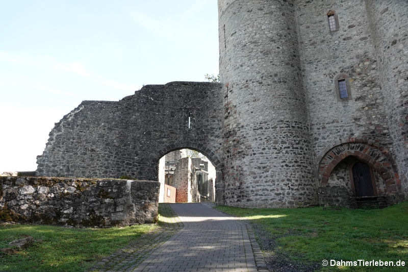 Das zweite Burgtor, der Eingang zur Vorburg