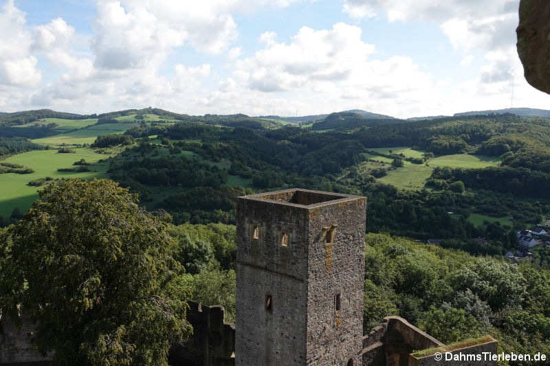 Blick über den Wehrturm