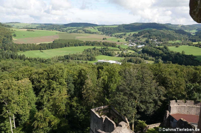 Blick nach Rockeskyll