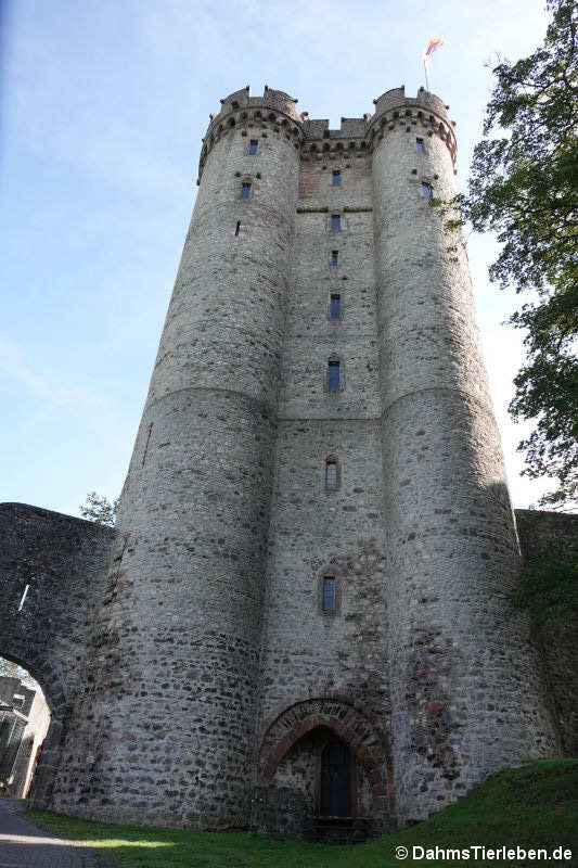 Der 37 Meter hohe Doppelturm