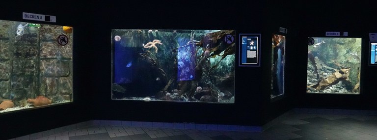 Aquarium GEOMAR in Kiel