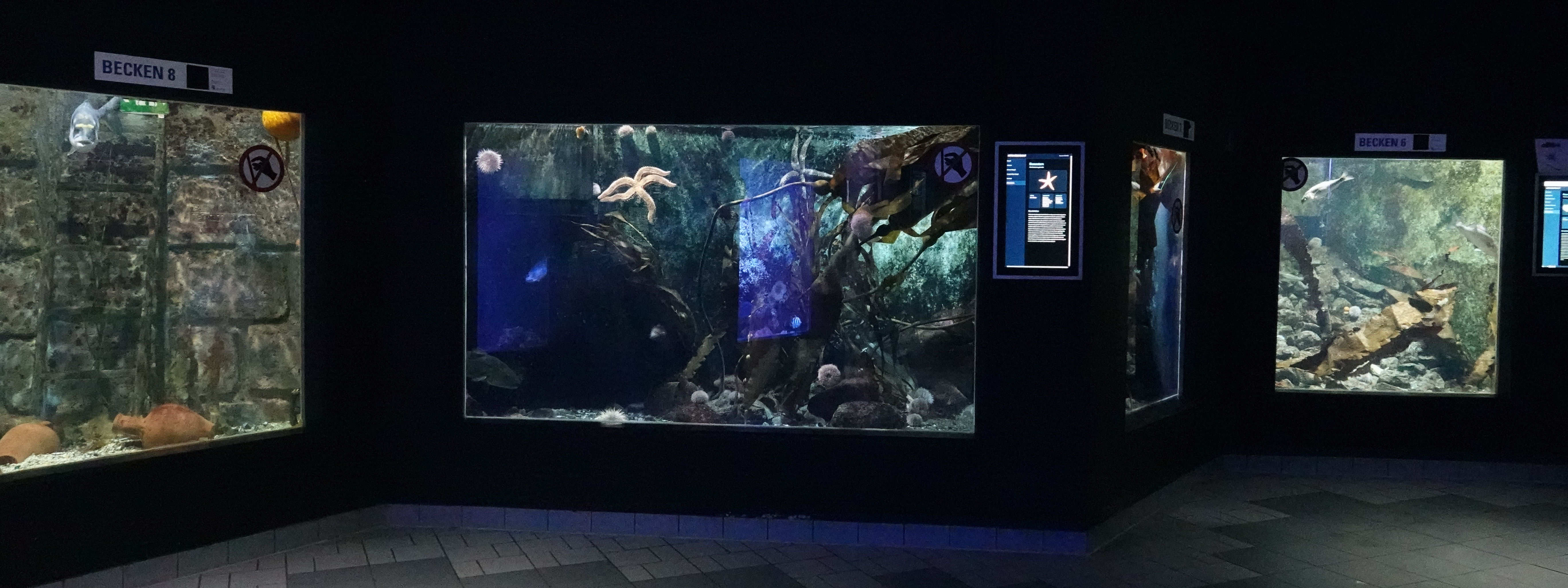 Aquarium GEOMAR in Kiel