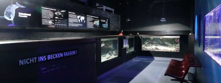 Aquarium GEOMAR in Kiel