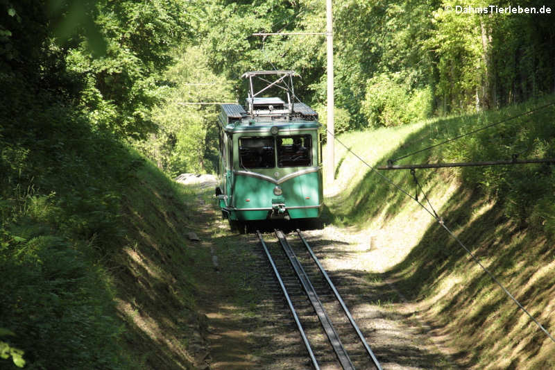 Drachenfelsbahn