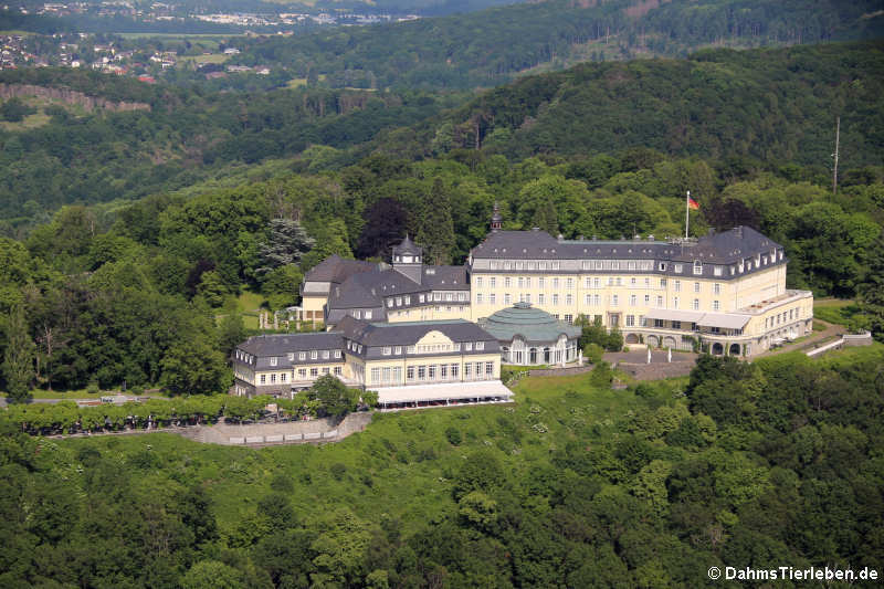 Hotelanlage Petersberg