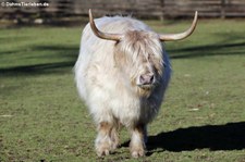 Lindenthaler Tierpark, Köln