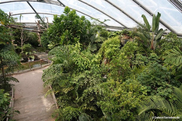 Meranti-Halle