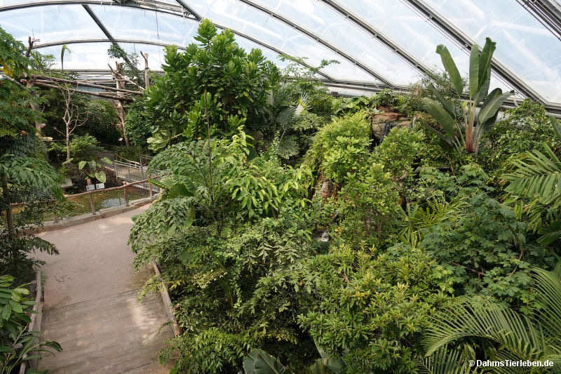 Blick in die Meranti-Halle Meranti-Halle-2