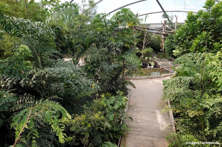 Meranti-Halle