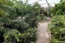 Meranti-Halle