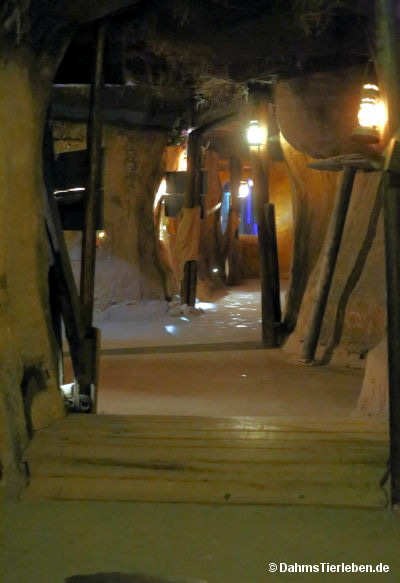 unterirdischer Zoo