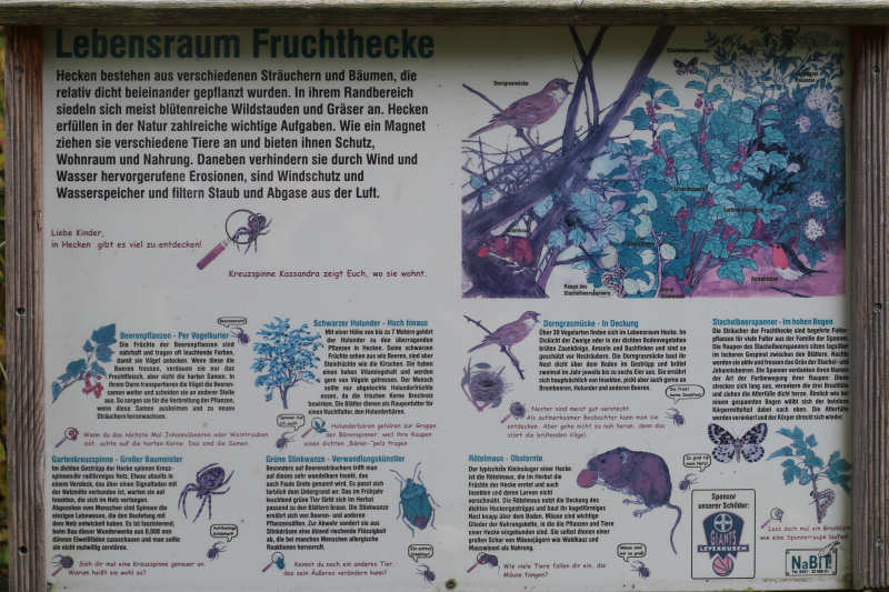 Lebensraum Fruchthecke