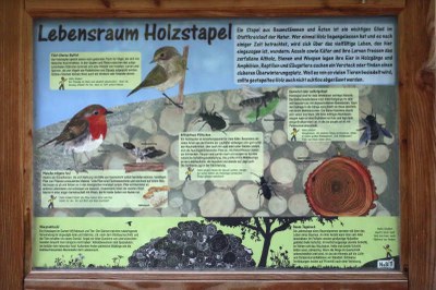 Lebensraum Holzstapel