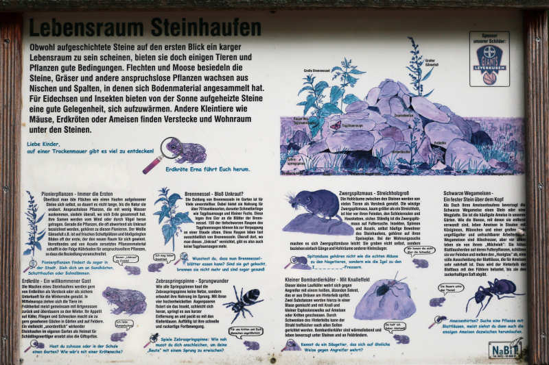 Lebensraum Steinhaufen