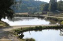 Fischteiche