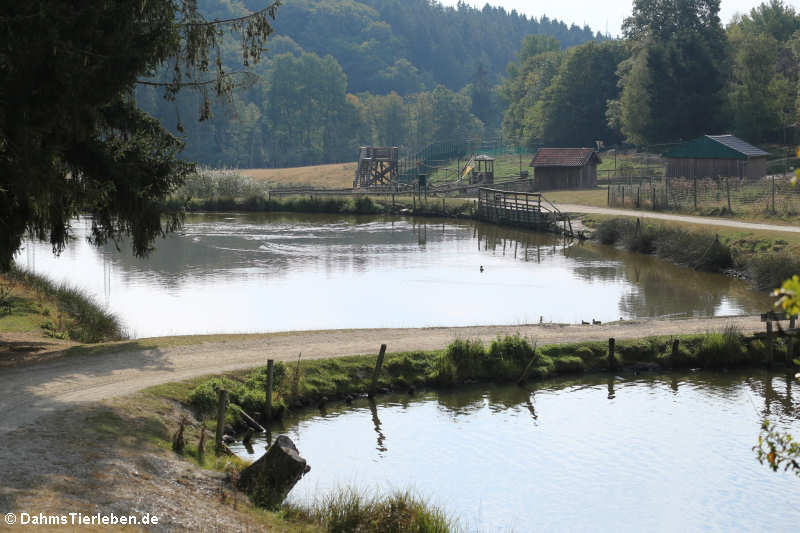 Blick auf die beiden Fischteiche