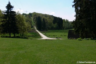 Blick in den Tierpark