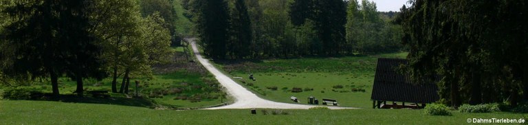 Tierpark Rheinböllen