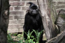 Naturzoo Rheine