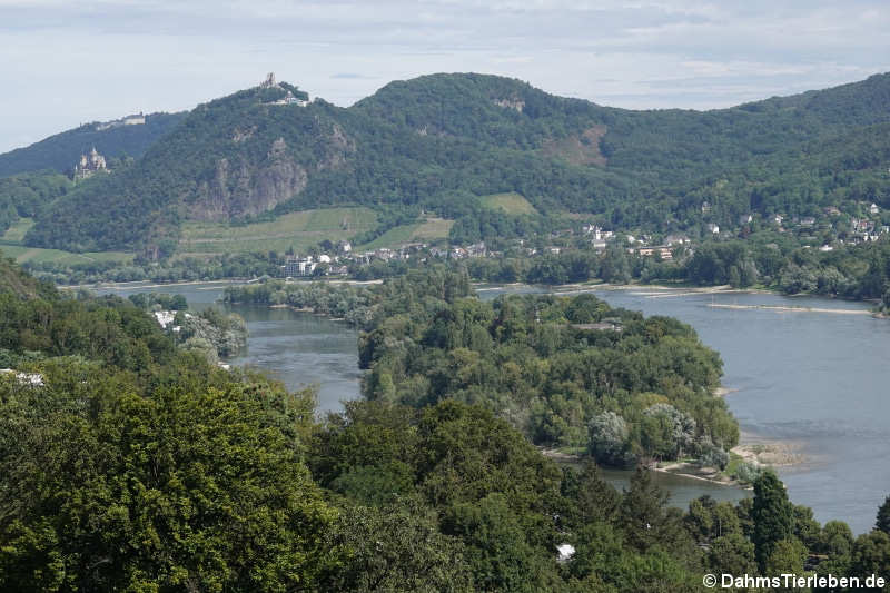 Blick in Richtung Bad Honnef