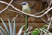 Weltvogelpark Walsrode