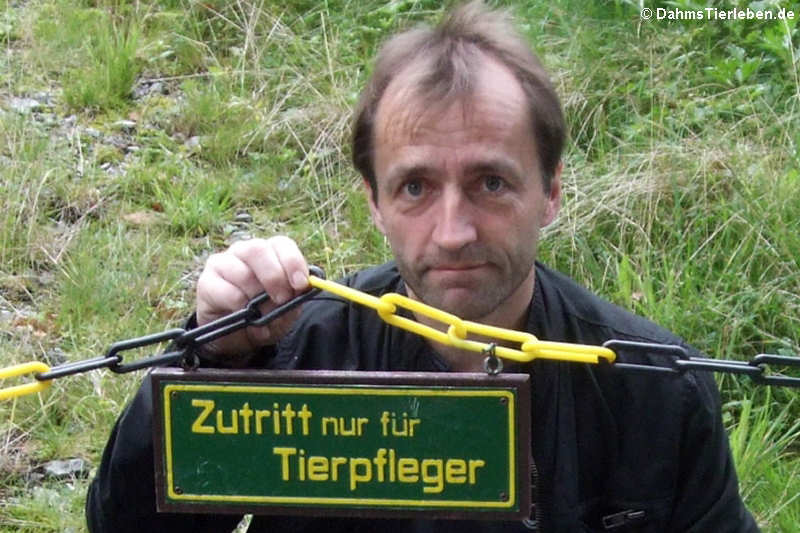 Mensch Homo sapiens-1