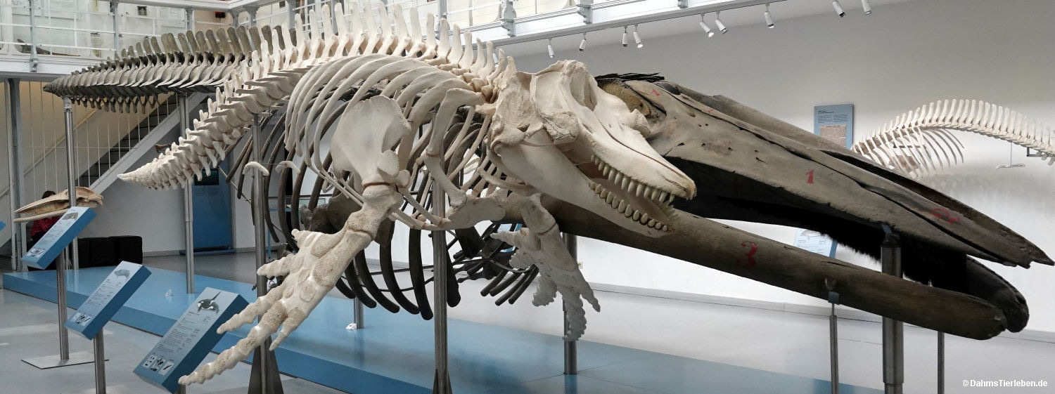 museum-1.jpg