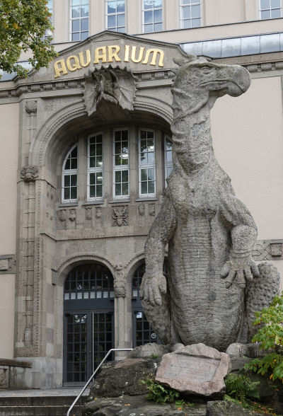 Iguanodon